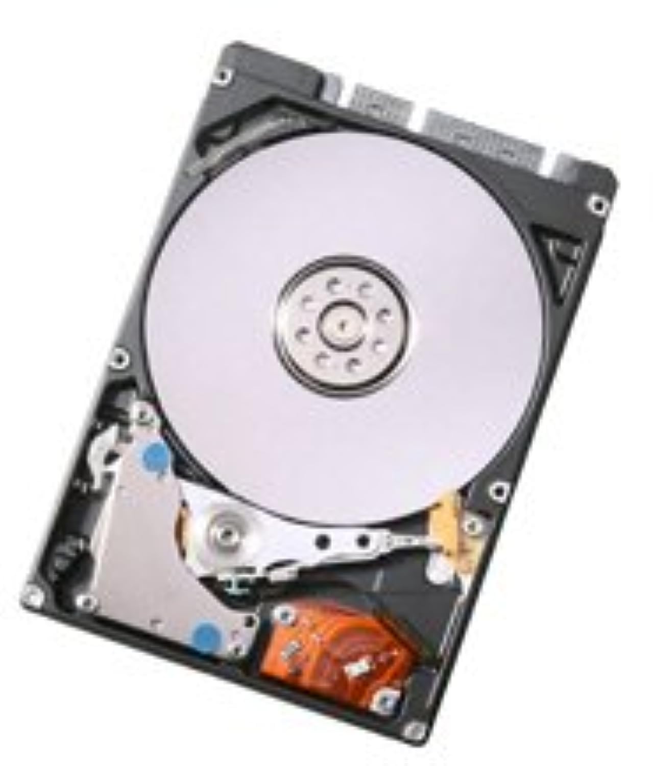Hitachi 320GB 5400RPM HDD 2.5インチ Amazon.com: Hitachi Travelstar 320 GB 5400 RPM 8MB Cache 2.5
